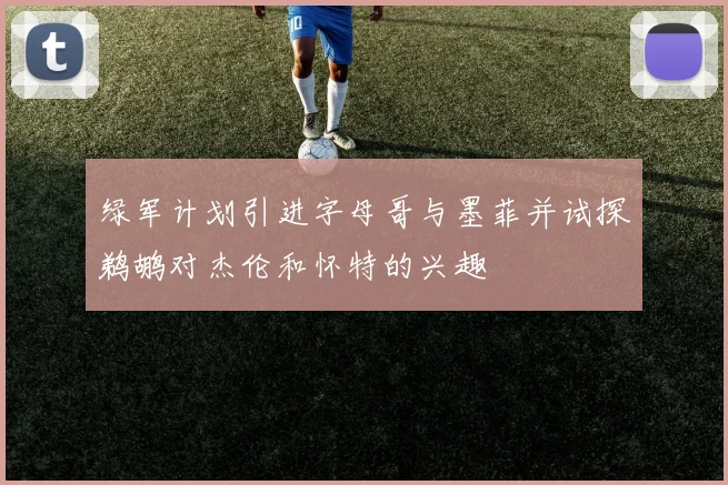 绿军计划引进字母哥与墨菲并试探鹈鹕对杰伦和怀特的兴趣