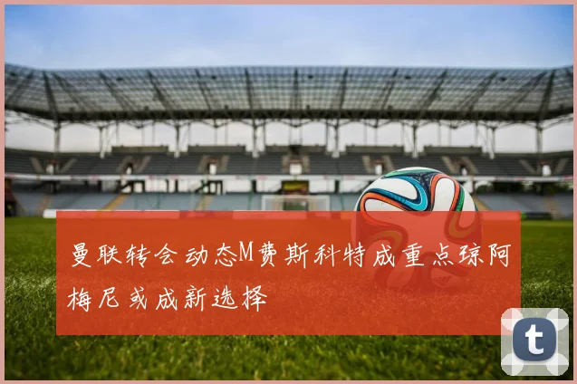 曼联转会动态M费斯科特成重点琼阿梅尼或成新选择